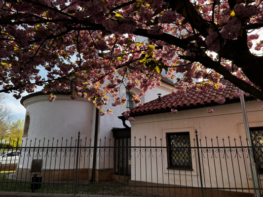 kostel sv. Martina / sv. Martin na jaře / Autor fotografie: Řehoř J. Žáček