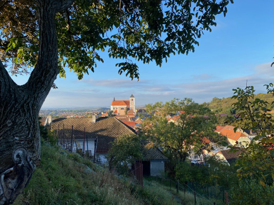 Pozořice, kostel Nanebevzetí Panny Marie