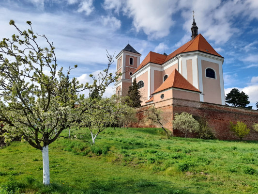 Pozořice, kostel Nanebevzetí Panny Marie / Autor fotografie: Dagmar Purová